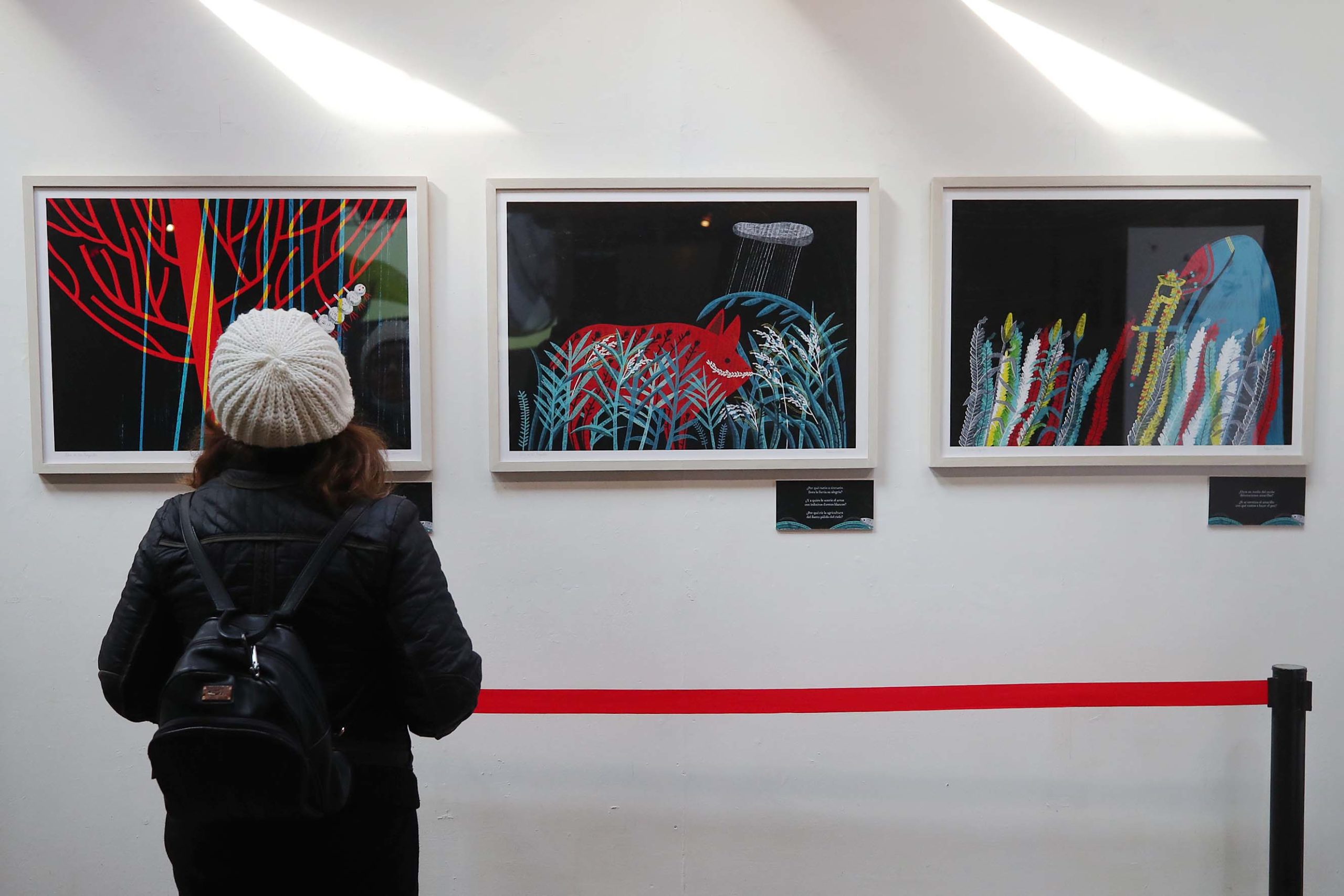 Plan de la Lectura presenta: itinerancia nacional de la exposición «Libro de las preguntas ilustrado por Paloma Valdivia»